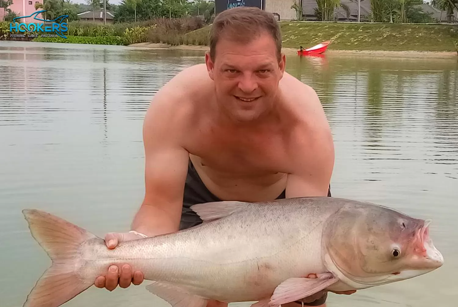 Bighead Carp 2