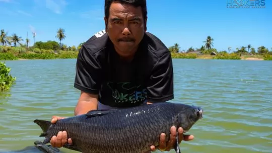 Black Carp Chinese Roach 540x304 2