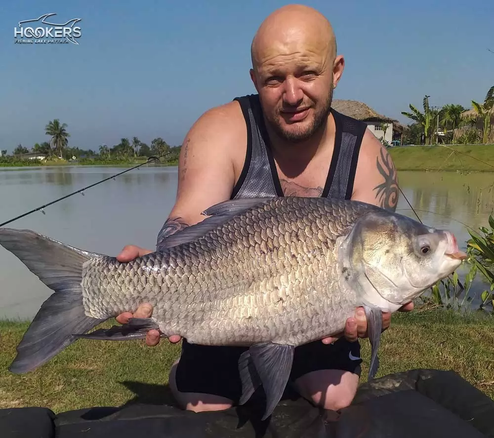 Catla Carp 2