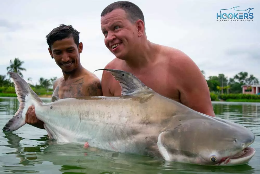 Chao Phraya Catfish 2